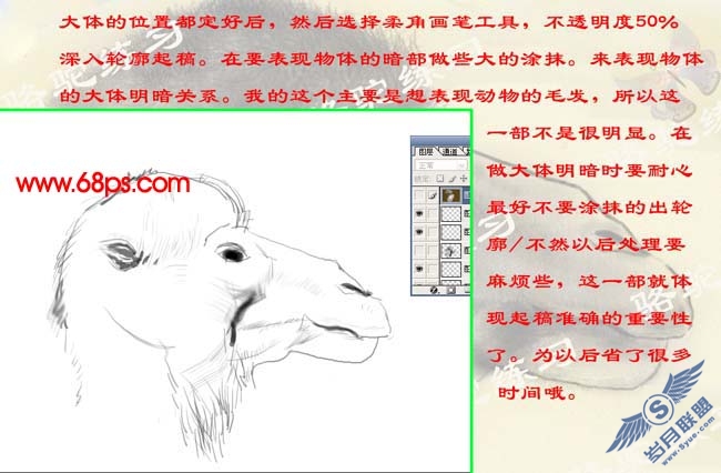 PS鼠绘沙漠骆驼插画