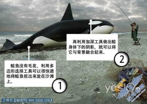 鬼斧神工的PS合成特技:加深工具“钓鲸”