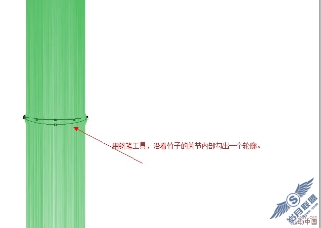 Photoshop超简单打造逼真的竹子