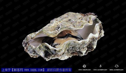 Photoshop图片合成教程二--生命的孕育