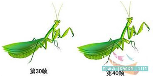 绘制逼真螳螂