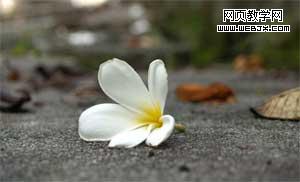 Photoshop照片处理教程:柔化聚光灯效果