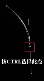 Photoshop路径模仿光线画笔绘制特效蜂鸟