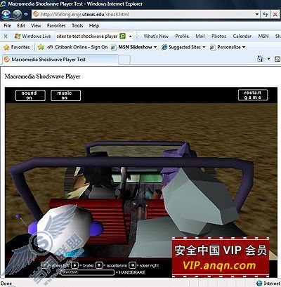 图为:IE8中正常使用了Shockwave 插件