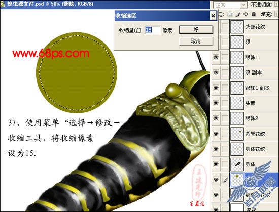 PhotoShop鼠绘超真实的蝗虫