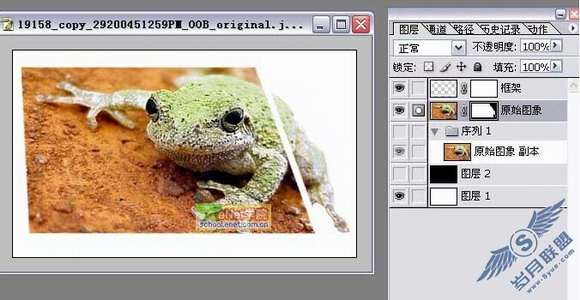 Photoshop打造陷入照片的青蛙