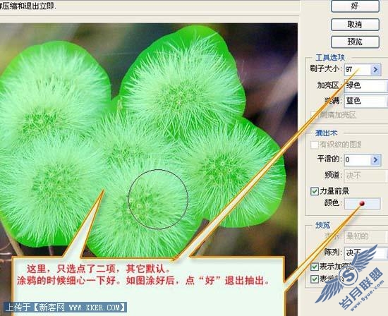 抽出滤镜快速勾出教复杂的物体