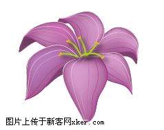 图10 Illustrator绘制百合花