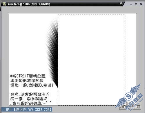 巧用Photoshop“风”滤镜制作羽毛画_整理转载