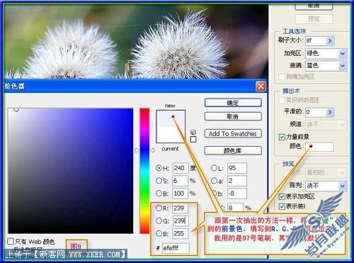 抽出滤镜快速勾出教复杂的物体
