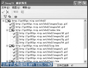 用SnagIt从网络上批量捕获图像