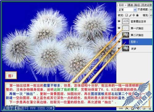 抽出滤镜快速勾出教复杂的物体