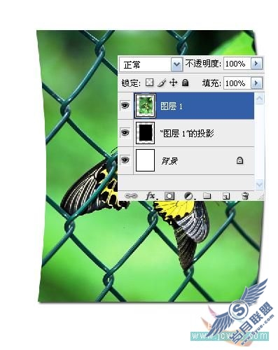 Photoshop初学者实例教程:简单打造照片立体效果