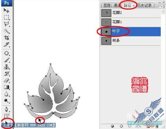 Photoshop鼠绘实例:手绘牡丹花的方法