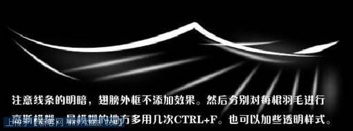 Photoshop路径模仿光线画笔绘制特效蜂鸟