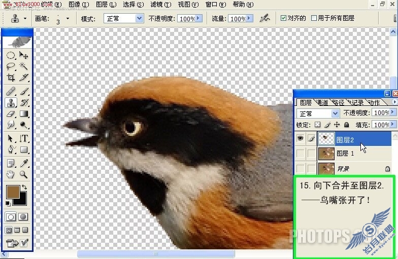 Photoshop制作小鸟鸣叫时的动作