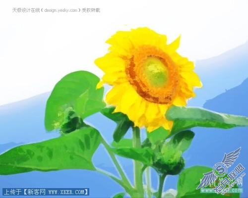 点击放大此图片