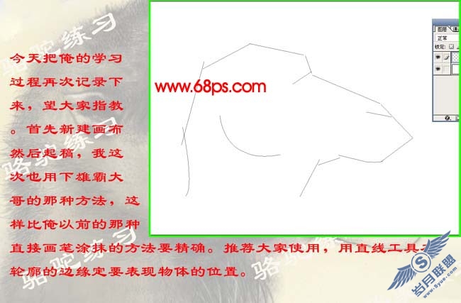 PS鼠绘沙漠骆驼插画