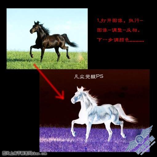 Photoshop合成简单熊熊燃烧的烈焰马和豹