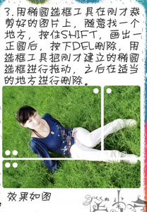 网友贴图
