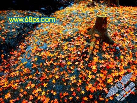 Photoshop制作橙黄色成片枫叶图【图】_