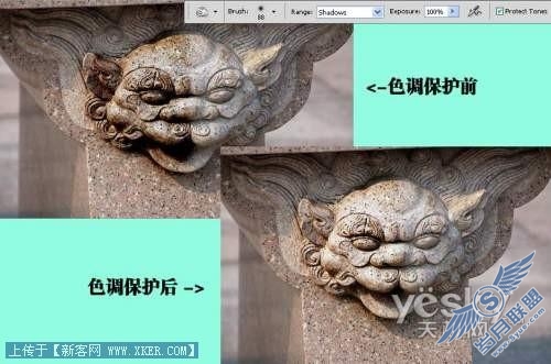 各选所需 快速掌握Photoshop CS4