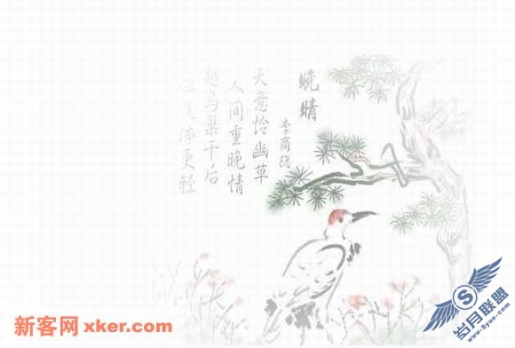 网页设计