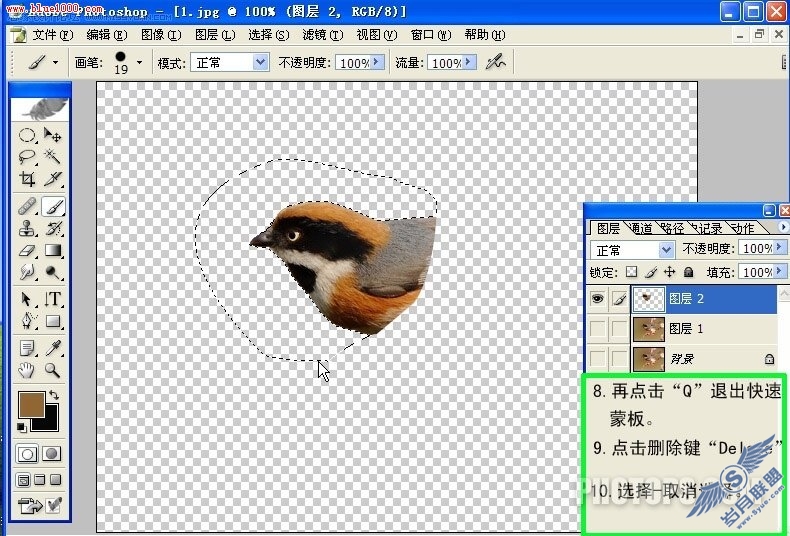Photoshop制作小鸟鸣叫时的动作