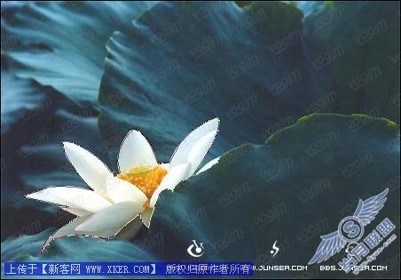 Photoshop图片合成教程二--生命的孕育