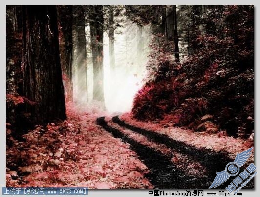 Photoshop打造暗红森林梦幻风景效果