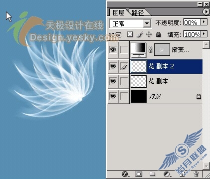 天极设计在线_Photoshop滤镜绘制半透明叶片