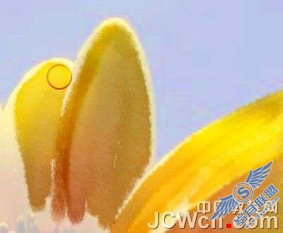 Photoshop图案图章工具制作印象派水彩画【图】_