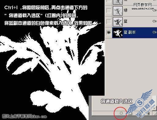 Photoshop通道抠图教程:绿叶树干