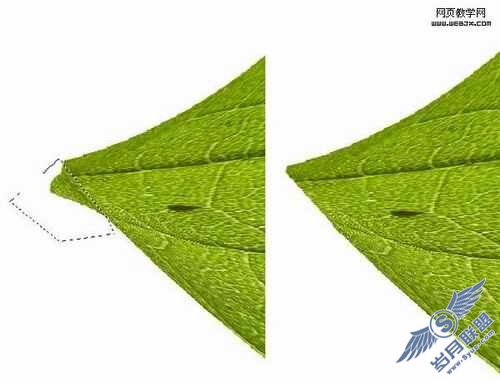 Photoshop绘制漂亮的3D质感叶子