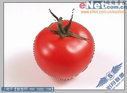 PSIR打造小仙女魔法之水果变变变(2)