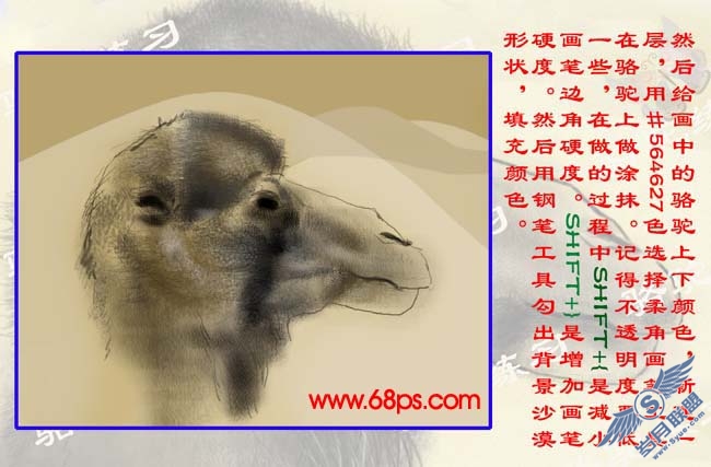PS鼠绘沙漠骆驼插画