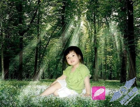 Photoshop照片处理:合成梦幻森林小天使儿童照【图】_