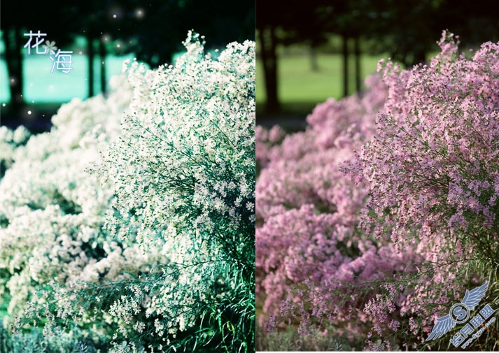 Photoshop风景调色:打造最简单的幸福
