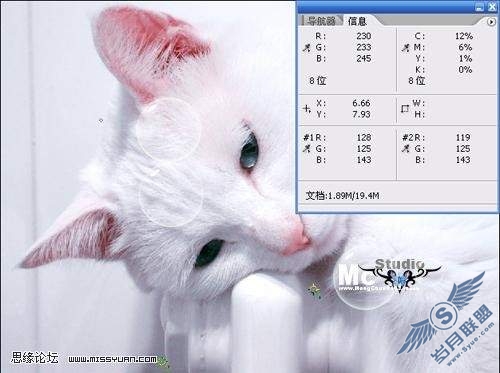 photoshop校色: 调出猫咪中性灰