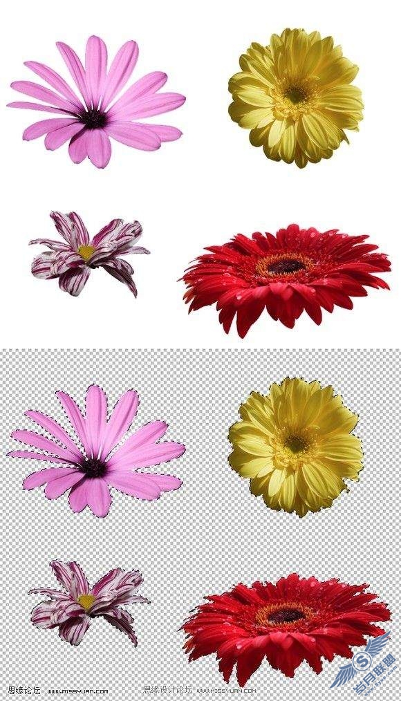 photoshop制作漂亮的花朵文字