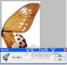 PhotoShop营造梦幻效果_神秘园中的精灵_天极设计在线整理转载