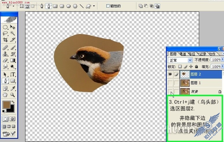 Photoshop制作小鸟鸣叫时的动作