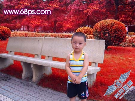 Photoshop调出儿童照片可爱的红紫色