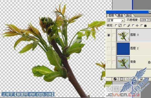 Photoshop去边命令巧除抠图杂边_天极设计在线转载
