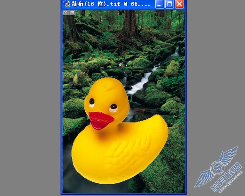 Photoshop套索工具和魔术棒工具篇