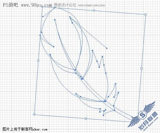 绘制Photoshop软件的羽毛标志