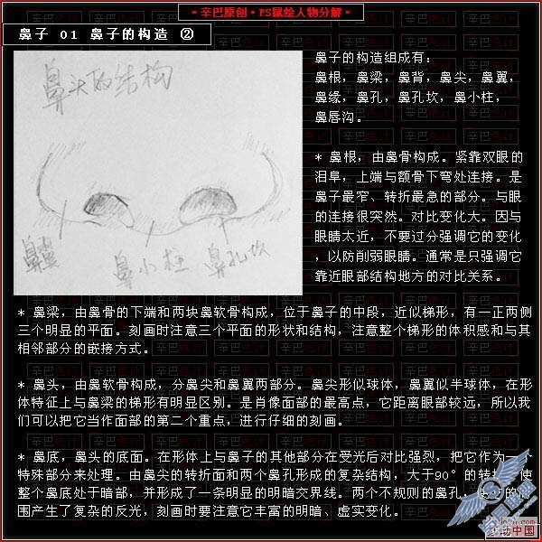 Photoshop鼠绘人物分解教程——鼻子篇【图】_