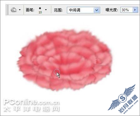 母亲节用AdobePhotoshop鼠绘一支康乃馨(6)