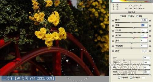 各选所需 快速掌握Photoshop CS4