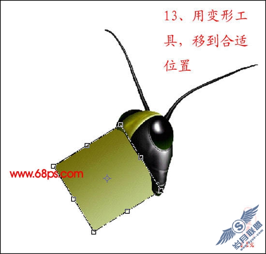 PhotoShop鼠绘超真实的蝗虫